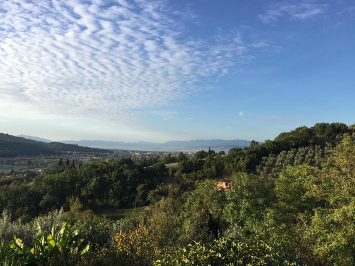 Umbria In Bike B&B フォリーニョ エクステリア 写真