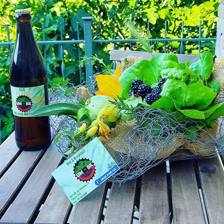 Umbria In Bike B&B フォリーニョ エクステリア 写真